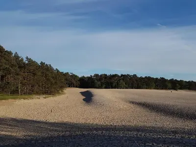 a gravel road with trees on the side of it at Studio Excellent 21 in Soesterberg