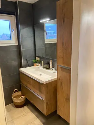 a bathroom with a sink and a mirror at Bed & Breakfast ‘t Westergouwertje in Gouda