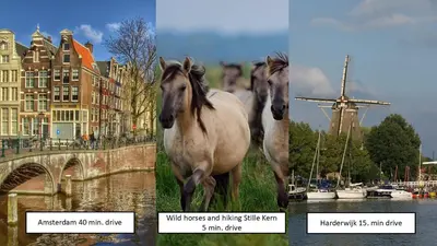 two pictures of a horse standing next to a bridge at The Cosy Cottage for Comfort with Sauna and Hottub in Zeewolde