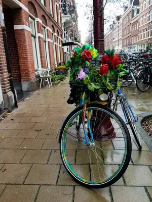 a bike with a basket filled with flowers on a street at Houseboat Amsterdam - Room with a view in Amsterdam