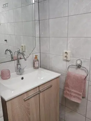 a bathroom with a sink and a shower at Prive tuinhuis B&B Elly in Sint Pancras