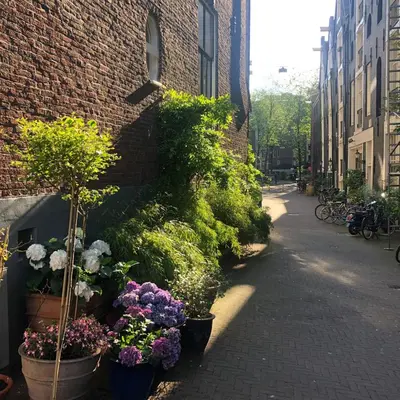 a street with potted plants and flowers on the side of a building at Studio Koggeschip in Amsterdam