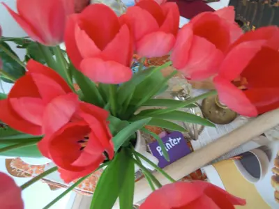 a vase filled with red flowers on a table at MissOrtelia B&B in Amsterdam