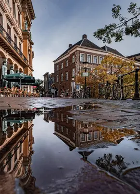 a puddle of water on a city street with buildings at B&B Utrecht Domkwartier in Utrecht