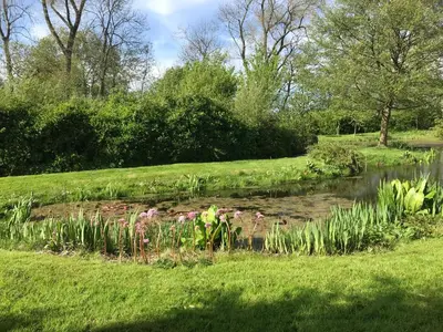 a pond in a park with flowers in the grass at De Aagt Tuyn in Schoorl