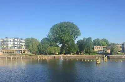 a lake with a bunch of ducks in the water at Top-notch apartment along canal in historic centre in Amsterdam