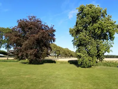 two trees in a field of grass with a sky at UNESCO de Beemster, vakantiewoning in Noordbeemster