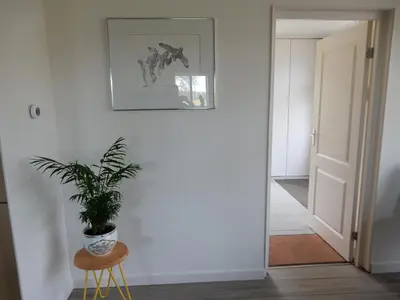a plant sitting on a stool in a hallway at UNESCO de Beemster, vakantiewoning in Noordbeemster