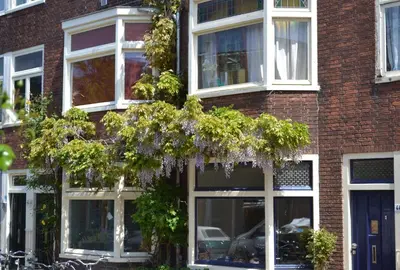a brick building with windows and a tree at B&B Limes Oudwijk in Utrecht