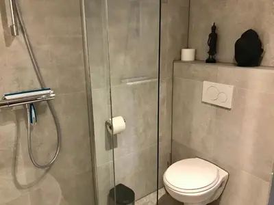 a bathroom with a toilet and a shower at Ferienhaus Glücklich am Meer 3 mit Wellnesszugang in Egmond aan Zee
