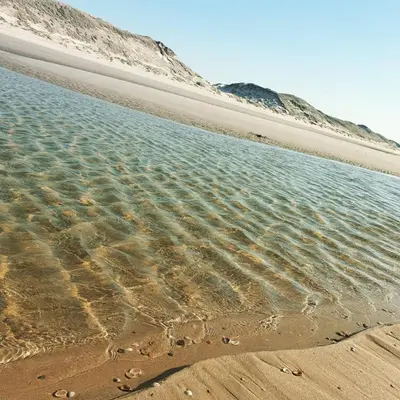 a sandy beach with footprints in the sand at Ferienhaus Glücklich am Meer 3 mit Wellnesszugang in Egmond aan Zee