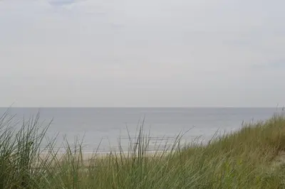 a view of the ocean from a beach with tall grass at Ferienhaus Glücklich am Meer 3 mit Wellnesszugang in Egmond aan Zee