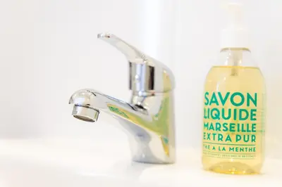 a bathroom sink with a soap bottle next to a faucet at Appartement Zuyd in Zandvoort