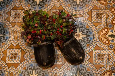 a potted plant is hanging on a wall at Bed and Breakfast De Pepersteeg in Marken