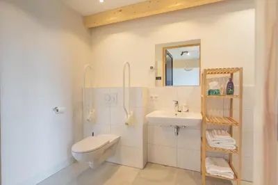 a bathroom with a toilet sink and a mirror at De Groene Bollenschuur in Hillegom
