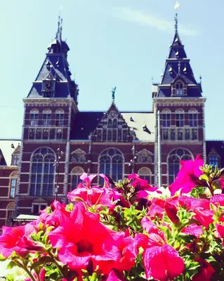 a large building with pink flowers in front of it at Achter de duinen in Zandvoort