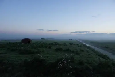 a foggy field with a cow grazing in a field at Ora et Labora in Beets