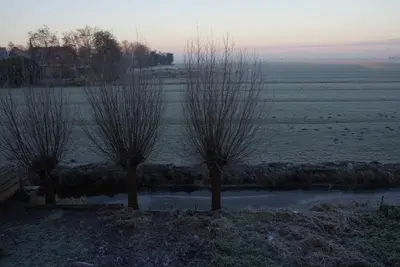 two trees in the middle of a field at Ora et Labora in Beets