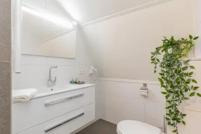 a bathroom with a white toilet and a plant at B&B Blossom in Lisse