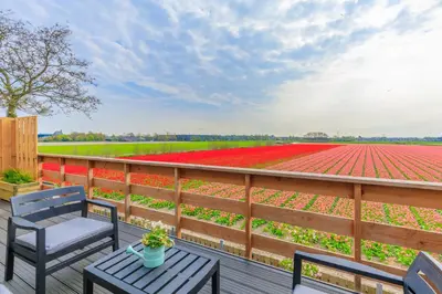 a patio with a table and chairs and a field of tulips at B&B Blossom in Lisse
