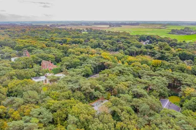an aerial view of a forest of trees with a house at Villa in the forest near the beach in Bergen