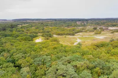 an aerial view of a forested area with trees at Villa in the forest near the beach in Bergen