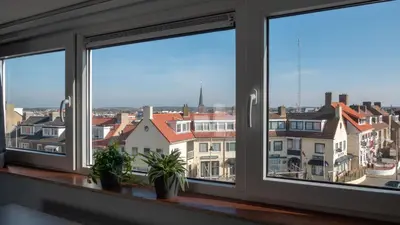 a window with three potted plants on a window sill at Appartementen De Boulevard in Zandvoort
