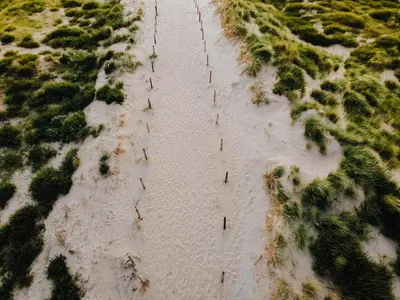 an aerial view of a beach with trees and water at Appartementen De Boulevard in Zandvoort