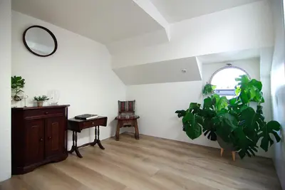 a room with a mirror and a plant and a table at Eco HouseBoat in Amsterdam