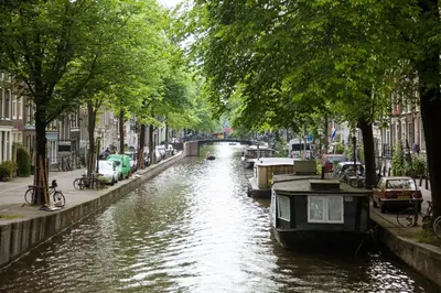 a canal in a city with boats and trees at Flying Pig Uptown in Amsterdam