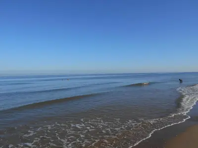 a beach with a small wave in the ocean at Zomerhuis Wonders in Zandvoort