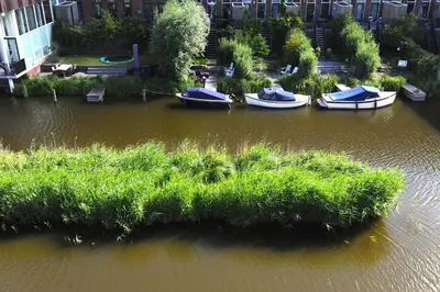 a group of boats in a river with grass at The Green Tunnel in Amsterdam