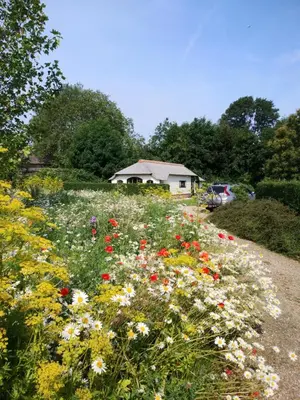 a field of flowers with a house in the background at Mariahoeve-Logies #Veenhuisje in Woubrugge