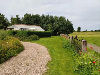 a gravel path leading to a house in a field at Mariahoeve-Logies #Veenhuisje in Woubrugge