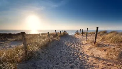 a dirt path to the beach with a fence at Sunny dunes in Zandvoort
