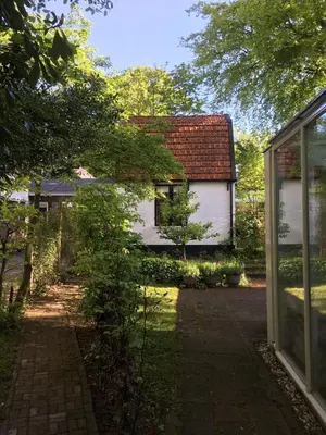 a small tree in front of a house at Little Constantia in Bergen
