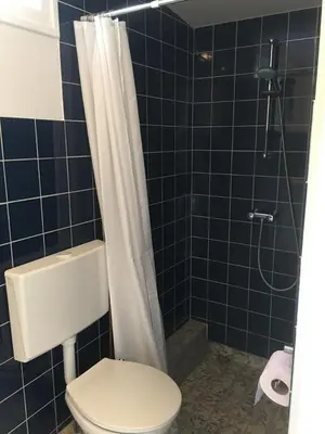 a bathroom with a toilet and a shower at Little Constantia in Bergen