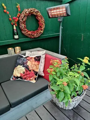 a couch with pillows on it next to a plant at Gouweland in Hoogwoud