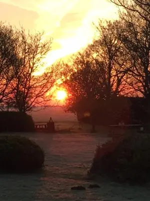 a sunset with the sun setting behind some trees at Gouweland in Hoogwoud