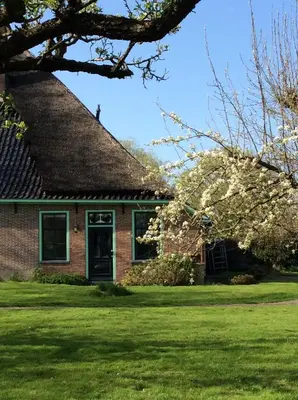 a house with a flowering tree in the yard at Gouweland in Hoogwoud