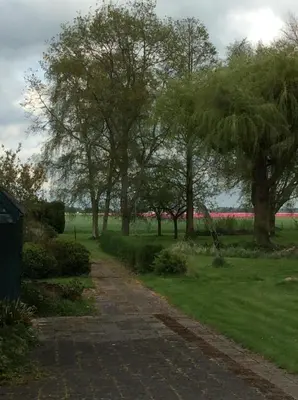 a path in a park with trees and grass at Gouweland in Hoogwoud