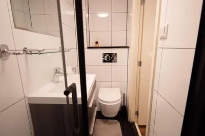 a bathroom with a toilet and a sink and a mirror at Beautiful DutchHouse Centrum in Amsterdam