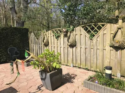 a wooden fence with a plant in front of it at De Specht in Bergen