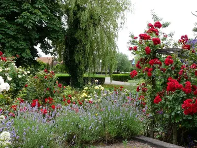 a garden with red roses and other flowers at de Boomgaard Groene Hart in Polsbroekerdam