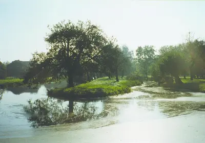 a river with trees in the middle of it at de Boomgaard Groene Hart in Polsbroekerdam