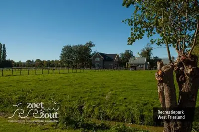 a tree in a field with a house in the background at Holiday Home BASALT 6 p Amsterdam and the beach in Opmeer