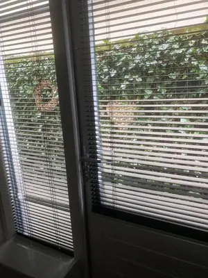 a window with blinds on a door with a plant at Pension Hendriks in Zandvoort