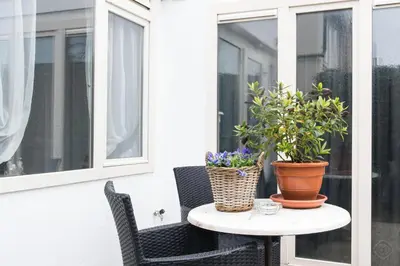 a table with two potted plants on a patio at Pension Hendriks in Zandvoort