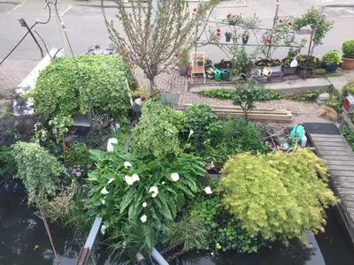 an overhead view of a garden with flowers and plants at Reiwa in Amsterdam