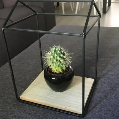 a cactus in a glass stand on a wooden board at Sous aan Zee in Noordwijk